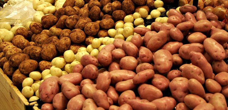 Staple food prices sustained upward trend in July – NBS